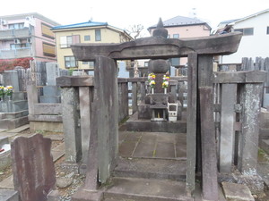 IMG_7394.jpg
