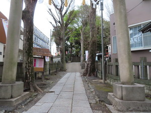 IMG_7399.jpg