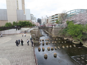 IMG_7408.jpg