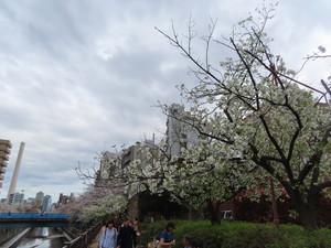 IMG_7410.jpg