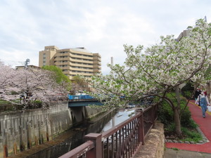 IMG_7412.jpg