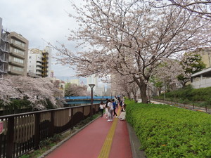 IMG_7416.jpg