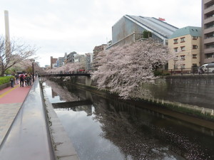 IMG_7417.jpg