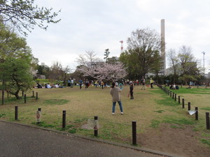 IMG_7418.jpg