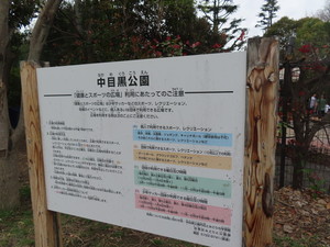IMG_7419.jpg