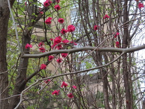 IMG_7424.jpg