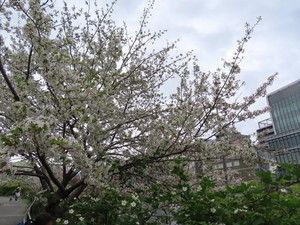 IMG_7425.jpg