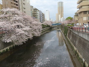 IMG_7426.jpg