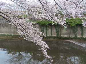 IMG_7429.jpg
