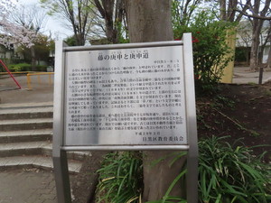 IMG_7435.jpg