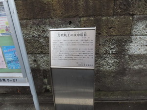 IMG_7437.jpg