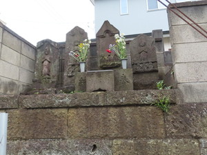 IMG_7438.jpg