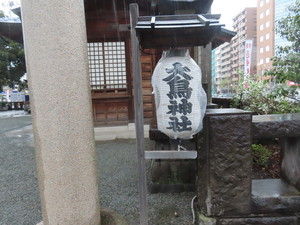 IMG_7445.jpg