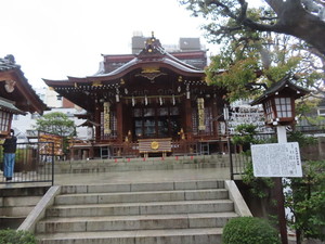 IMG_7447.jpg