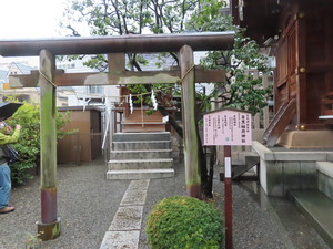 IMG_7450.jpg