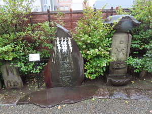 IMG_7451.jpg