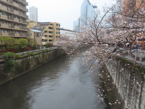 IMG_7454.jpg