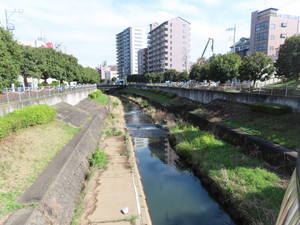 IMG_7466.jpg