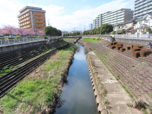 IMG_7467.jpg