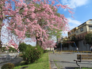 IMG_7469.jpg