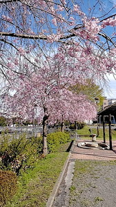 IMG_7469 (2).jpg