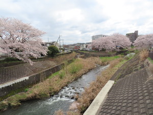 IMG_7478.jpg