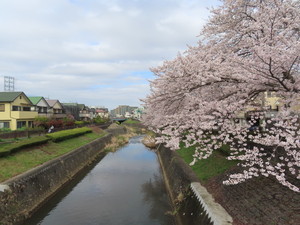IMG_7479.jpg