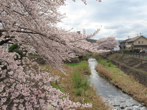 IMG_7481.jpg