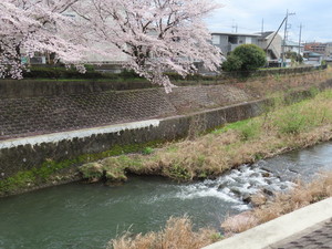 IMG_7485.jpg