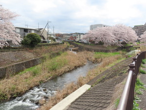 IMG_7486.jpg