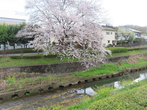 IMG_7488.jpg