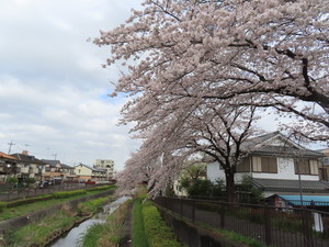 IMG_7489.jpg