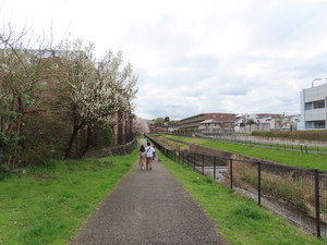 IMG_7490.jpg