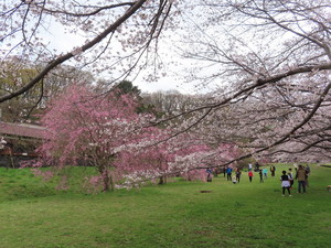 IMG_7493.jpg