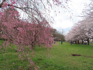 IMG_7497.jpg