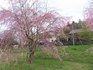 IMG_7502.jpg