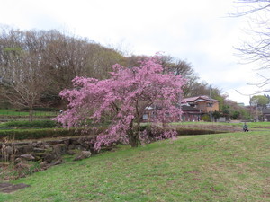 IMG_7506.jpg