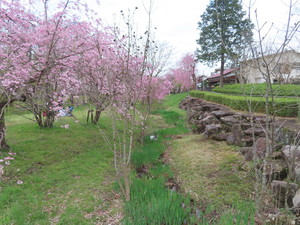 IMG_7508.jpg