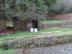 IMG_7509.jpg