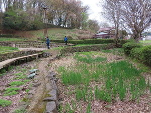 IMG_7510.jpg