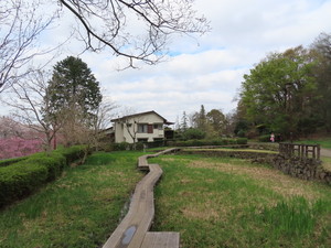 IMG_7511.jpg