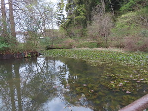 IMG_7516.jpg