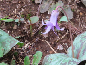 IMG_7519.jpg