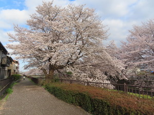 IMG_7527.jpg