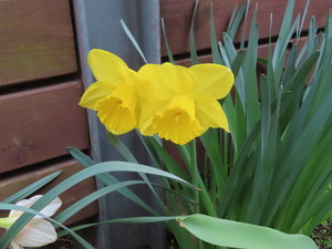 IMG_7548.jpg