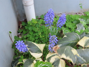 IMG_7573.jpg
