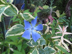 IMG_7574.jpg