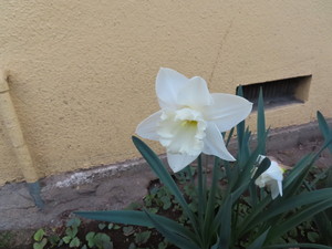 IMG_7577.jpg