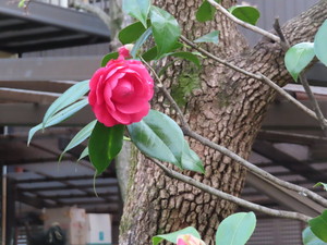 IMG_7578.jpg