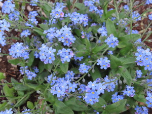 IMG_7579.jpg